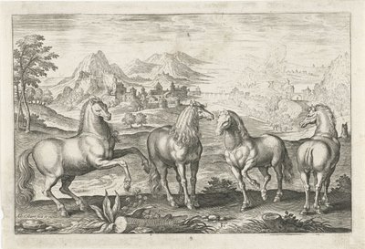 Cavalli da Adriaen Collaert