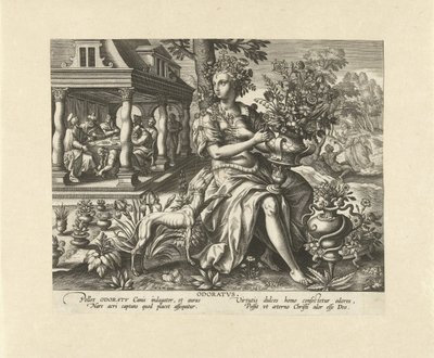 Odore da Adriaen Collaert