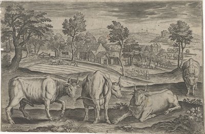 Bovini Animali quadrupedi Animalivm Qvaddrvpedvm da Adriaen Collaert