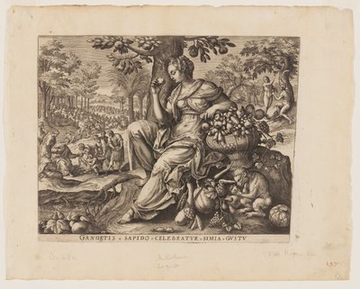 Il gusto, da I cinque sensi da Adriaen Collaert