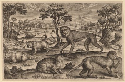 Tre gatti e due scimmie da Adriaen Collaert