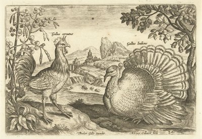 Due galli in un paesaggio da Adriaen Collaert