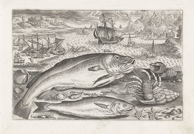 Due pesci sulla spiaggia (serie di pesci) da Adriaen Collaert