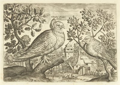 Due uccelli in un paesaggio (serie: Avivm Vivae, Uccelli) da Adriaen Collaert