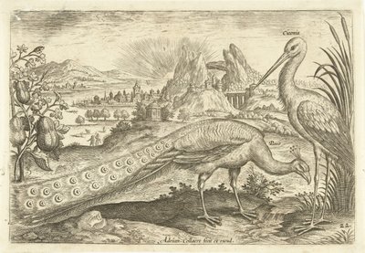 Due uccelli in un paesaggio (Avivm Vivae, Vogels) da Adriaen Collaert