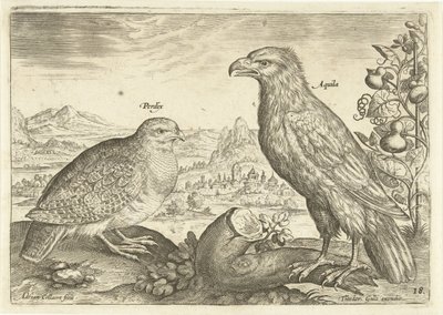 Due uccelli in un paesaggio (Avivm Vivae) (Uccelli) da Adriaen Collaert