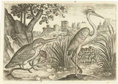 Due uccelli in un paesaggio (Uccelli) da Adriaen Collaert