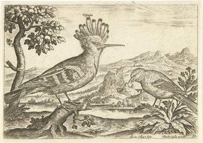 Due uccelli in un paesaggio da Adriaen Collaert