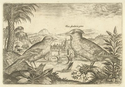 Due uccelli in un paesaggio Uccelli (titolo della serie) Avivm Vivae (titolo della serie) da Adriaen Collaert
