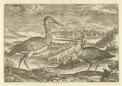 Due uccelli in un paesaggio (serie: Uccelli) da Adriaen Collaert
