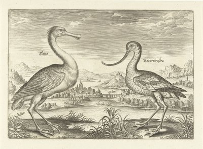 Due trampolieri in un paesaggio fluviale da Adriaen Collaert