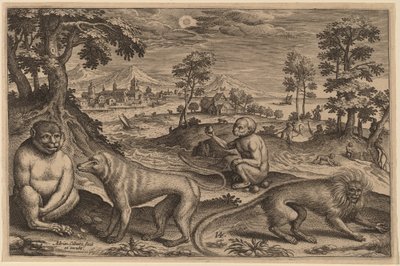Due scimmie e due macachi da Adriaen Collaert