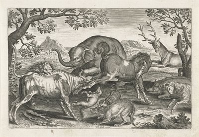 Animali combattenti, Quadrupedi (titolo della serie), Animalivm Qvaddrvpedvm (titolo della serie) da Adriaen Collaert