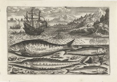 Quattro pesci sulla spiaggia da Adriaen Collaert