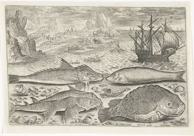 Quattro pesci sulla spiaggia (serie) da Adriaen Collaert