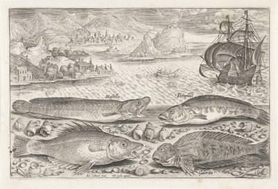 Quattro pesci sulla spiaggia da Adriaen Collaert