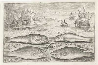 Quattro pesci sulla spiaggia da Adriaen Collaert