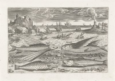 Quattro pesci sulla spiaggia da Adriaen Collaert