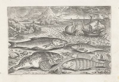 Quattro pesci sulla spiaggia (serie di pesci) da Adriaen Collaert