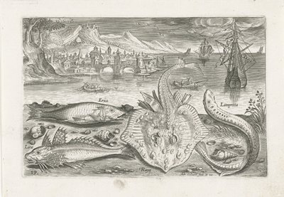 Quattro pesci sulla spiaggia (Vissen, Piscivm vivae icones) da Adriaen Collaert