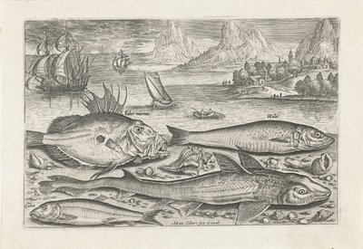 Quattro pesci sulla spiaggia da Adriaen Collaert