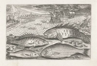 Quattro pesci sulla spiaggia da Adriaen Collaert