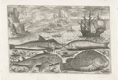 Quattro pesci sulla spiaggia da Adriaen Collaert