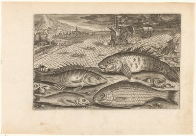Quattro pesci sulla spiaggia da Adriaen Collaert