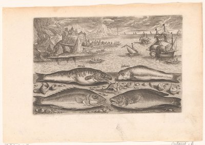 Quattro pesci sulla spiaggia da Adriaen Collaert
