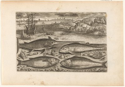 Quattro pesci sulla spiaggia da Adriaen Collaert