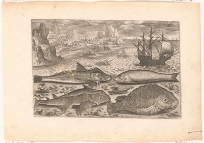 Quattro pesci sulla spiaggia da Adriaen Collaert