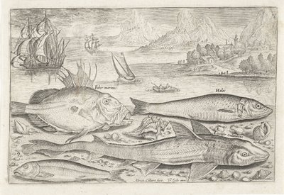 Quattro pesci sulla spiaggia da Adriaen Collaert