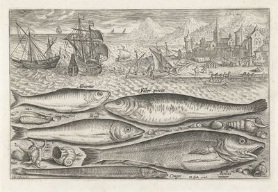 Cinque pesci sulla spiaggia (Vissen, Piscivm vivae icones) da Adriaen Collaert