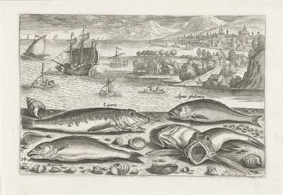 Cinque pesci sulla spiaggia (Vissen, Piscivm vivae icones) da Adriaen Collaert