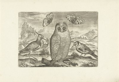 Uccelli e farfalle in un paesaggio da Adriaen Collaert