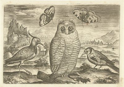 Uccelli e farfalle in un paesaggio da Adriaen Collaert