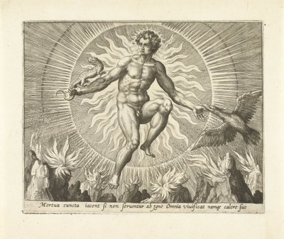 Fuoco (serie: I quattro elementi) da Adriaen Collaert