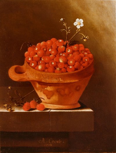 Ciotola in terracotta con fragole su un basamento in pietra da Adrian Coorte