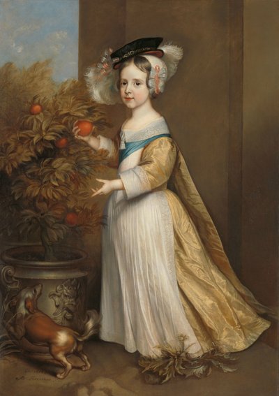 Guglielmo III (1650-1702), Principe d