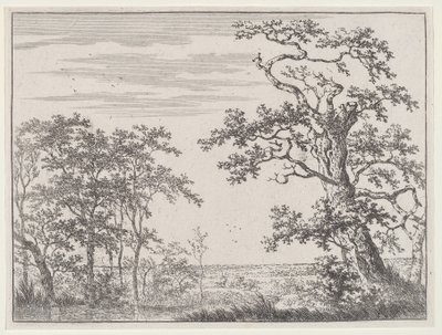 Paesaggio con un ruscello e un albero antico da Adriaen Hendricks Verboom
