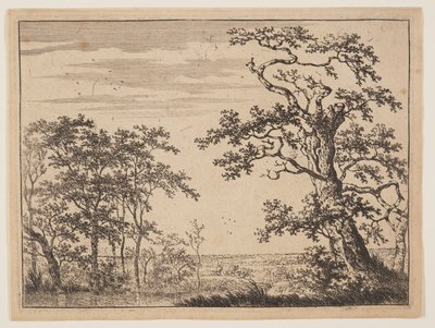 Lo stagno da Adriaen Hendricksz. Verboom