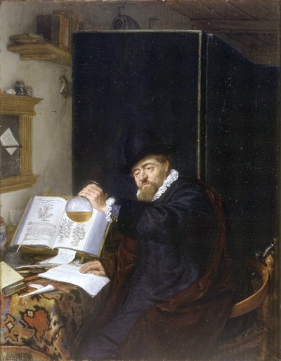 Analisi da Adriaen Jansz. van Ostade