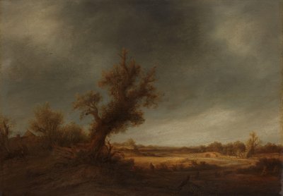 Paesaggio con una vecchia quercia da Adriaen van Ostade