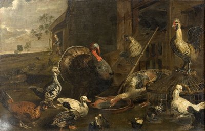 Galline, anatre e un tacchino da Adriaen van Utrecht