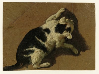 Gatto che gioca vicino a un muro da Adriaen van de Velde (attributed to)