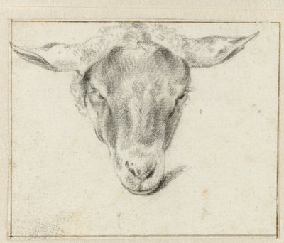 Testa di pecora, di fronte da Adriaen van de Velde (attributed to)