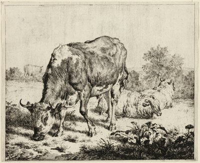 Una mucca e tre pecore da Adriaen van de Velde
