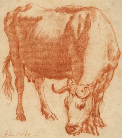 Mucca al pascolo da Adriaen van de Velde
