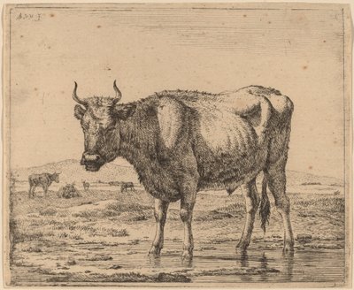 Toro in Piedi nell