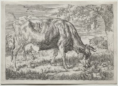 Mucca e due pecore ai piedi di un albero da Adriaen van de Velde